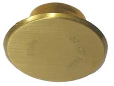 Viking Flat Concealed Brushed Brass